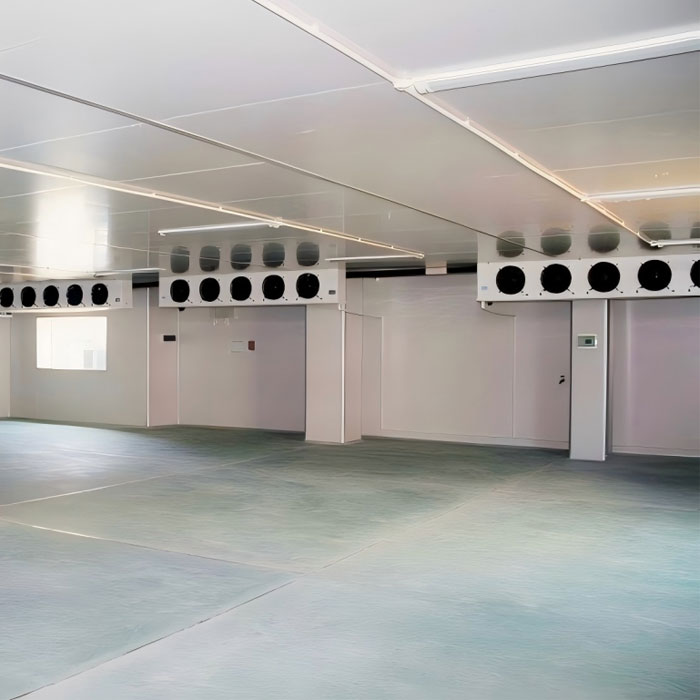 Cold Storage Facility Freezer Room Design for Food & Fruit 