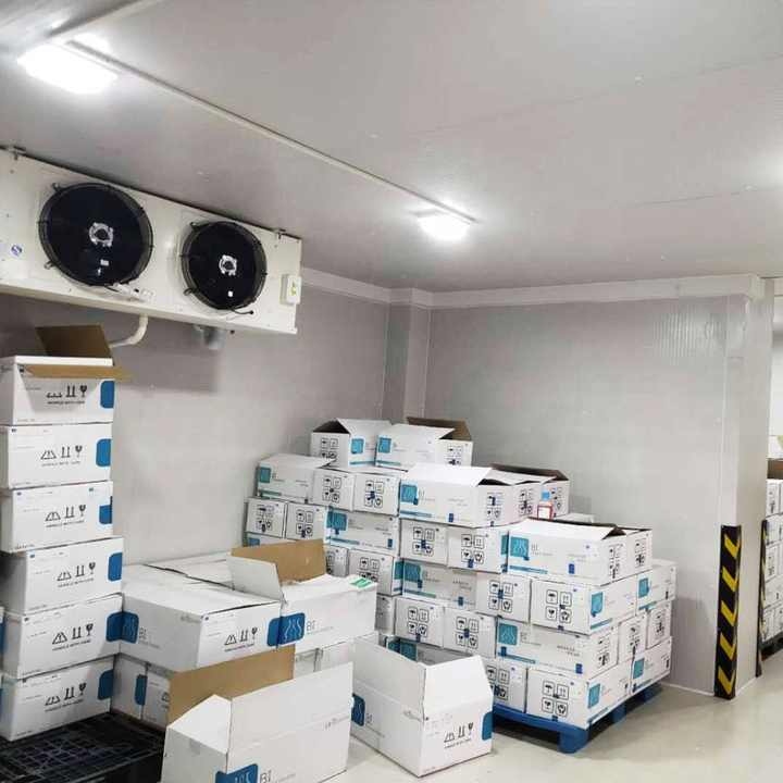 Refrigeration VS Controlled Atmosphere: Which “Breath Method” Will Save Your Product and Profits?