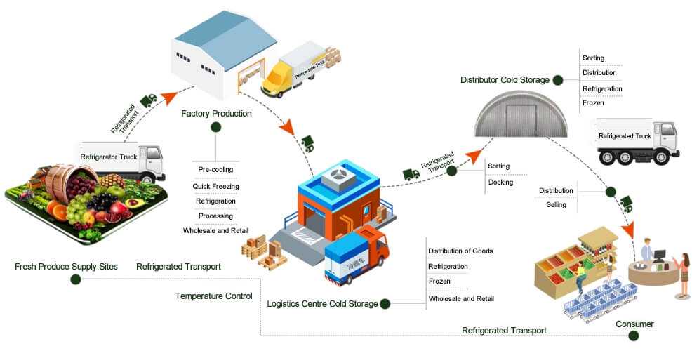 The Surge in Global Food Safety & Cold Storage Demand — Xueyuncold Provides Efficient Solutions