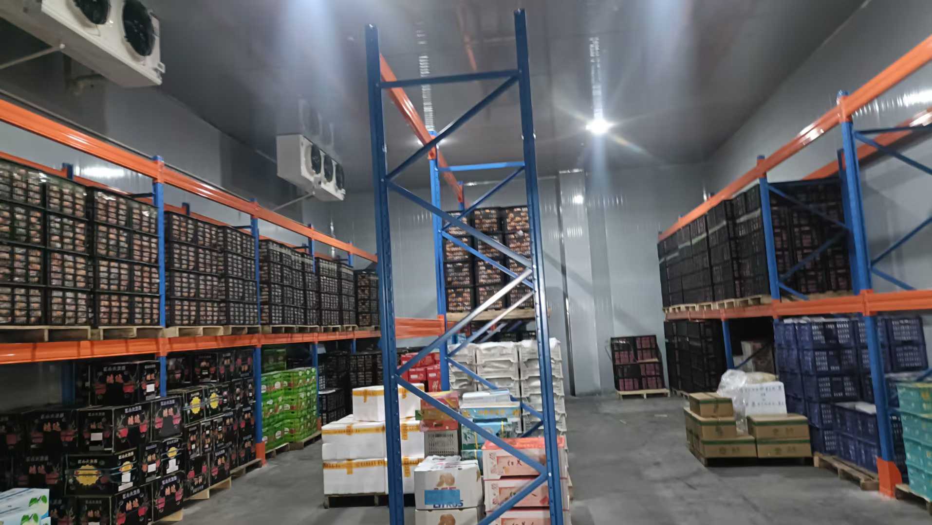 Estimate Your Custom Cold Room Cost in 3 Minutes--- XUEYUN COLD CHAIN