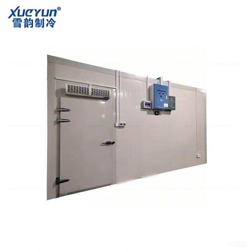 Customized Blast Freezer Room For Meat & Fish